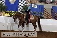 11r12_6771 proof