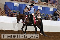 11r12_6772 proof