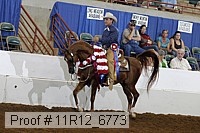 11r12_6773 proof