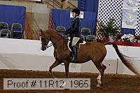 11r12_1965 proof