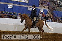11r12_1966 proof
