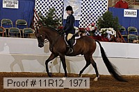 11r12_1971 proof