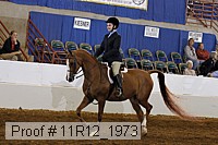 11r12_1973 proof