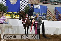 11r12_1981 proof