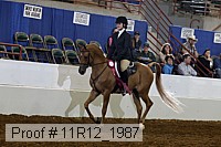 11r12_1987 proof