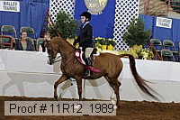 11r12_1989 proof