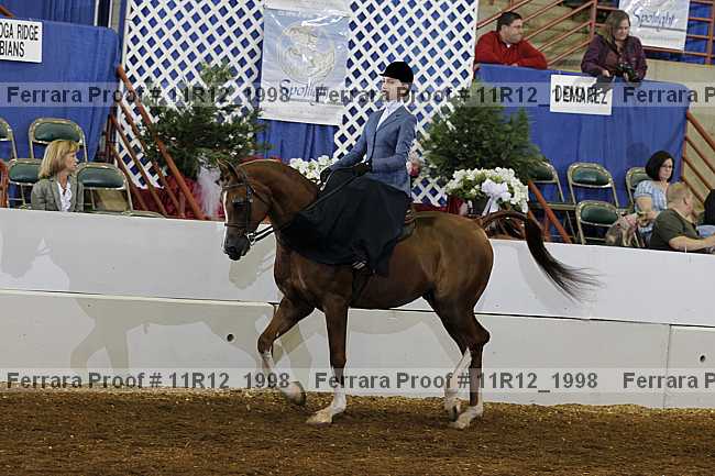 Proof 11r12_1998