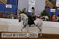 11r12_2001 proof