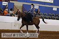 11r12_2002 proof