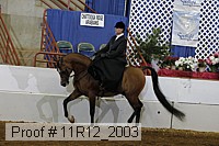 11r12_2003 proof