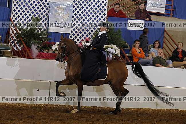 Proof 11r12_2007