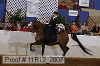 11r12_2007 proof