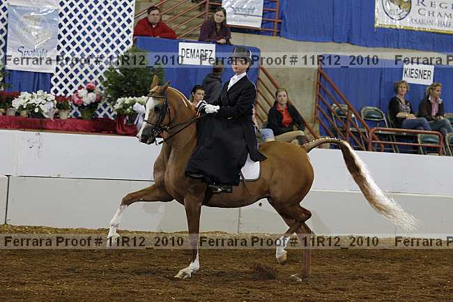 Proof 11r12_2010