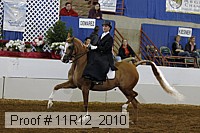 11r12_2010 proof