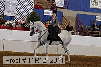 11r12_2011 proof