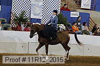 11r12_2015 proof