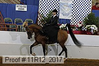 11r12_2017 proof