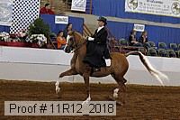 11r12_2018 proof