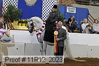 11r12_2023 proof