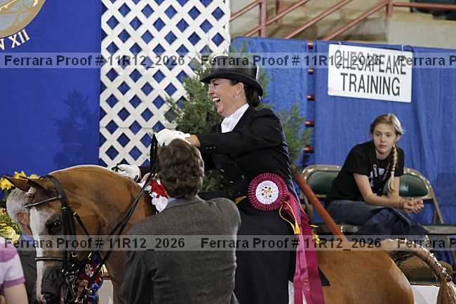 Proof 11r12_2026