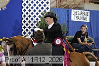 11r12_2026 proof
