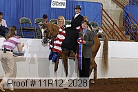 11r12_2028 proof