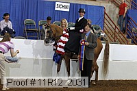 11r12_2031 proof