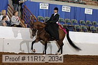 11r12_2034 proof