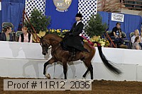 11r12_2036 proof