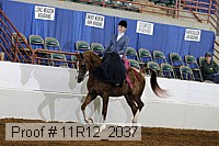 11r12_2037 proof