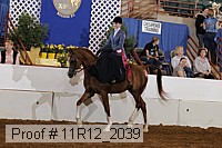 11r12_2039 proof