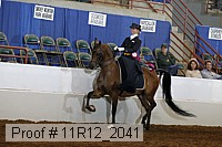 11r12_2041 proof