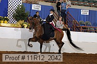 11r12_2042 proof