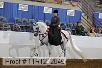 11r12_2045 proof