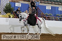 11r12_2046 proof
