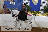 11r12_2048 proof