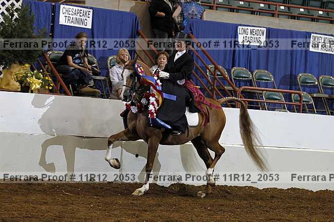 Proof 11r12_2053