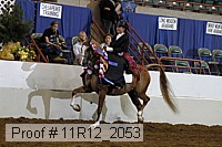 11r12_2053 proof