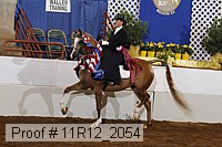 11r12_2054 proof