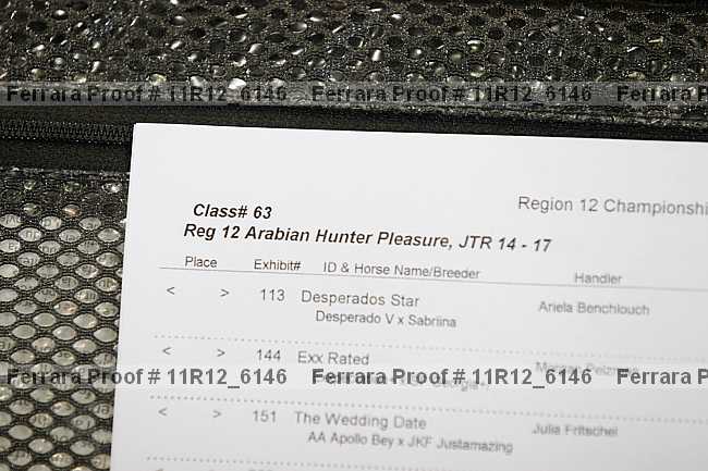 Proof 11r12_6146