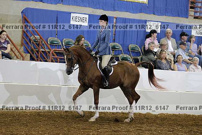 Proof 11r12_6147