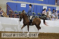 11r12_6147 proof