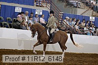 11r12_6148 proof