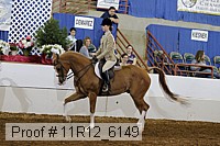 11r12_6149 proof