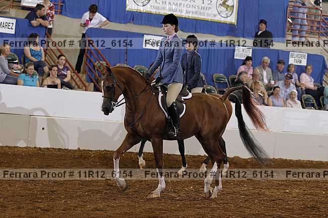 Proof 11r12_6154