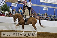 11r12_6161 proof