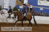 11r12_6169 proof