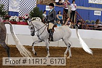 11r12_6170 proof
