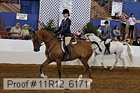 11r12_6171 proof