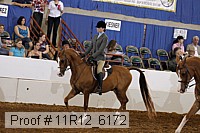 11r12_6172 proof